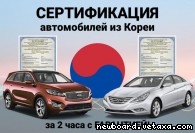    : Hyundai, Kia  2 