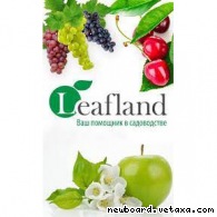 - Leafland -       