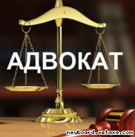 Адвокат Жаворонкова Карина Игоревна.