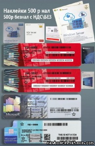 ,     Windows 10/11 Pro OEM