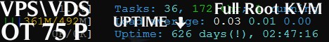VPS\VDS KVM